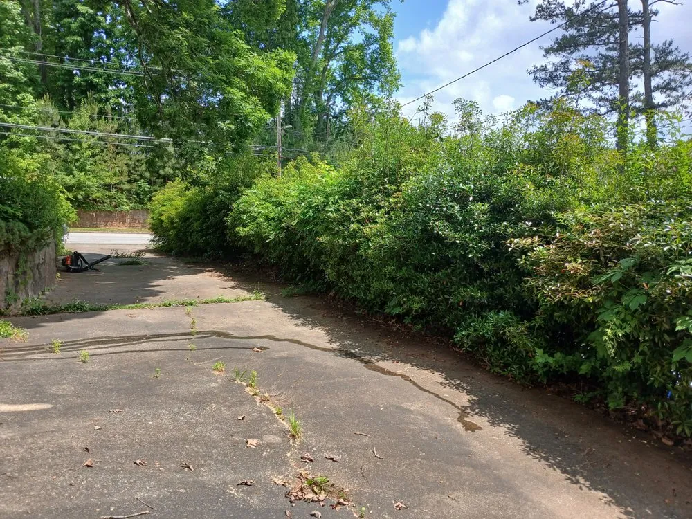 Reliable yard maintenance for homes across Atlanta, GA - Privilege Society