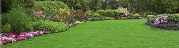 Professional lawn care service in Fort Smith, AR - Pro- Lawns