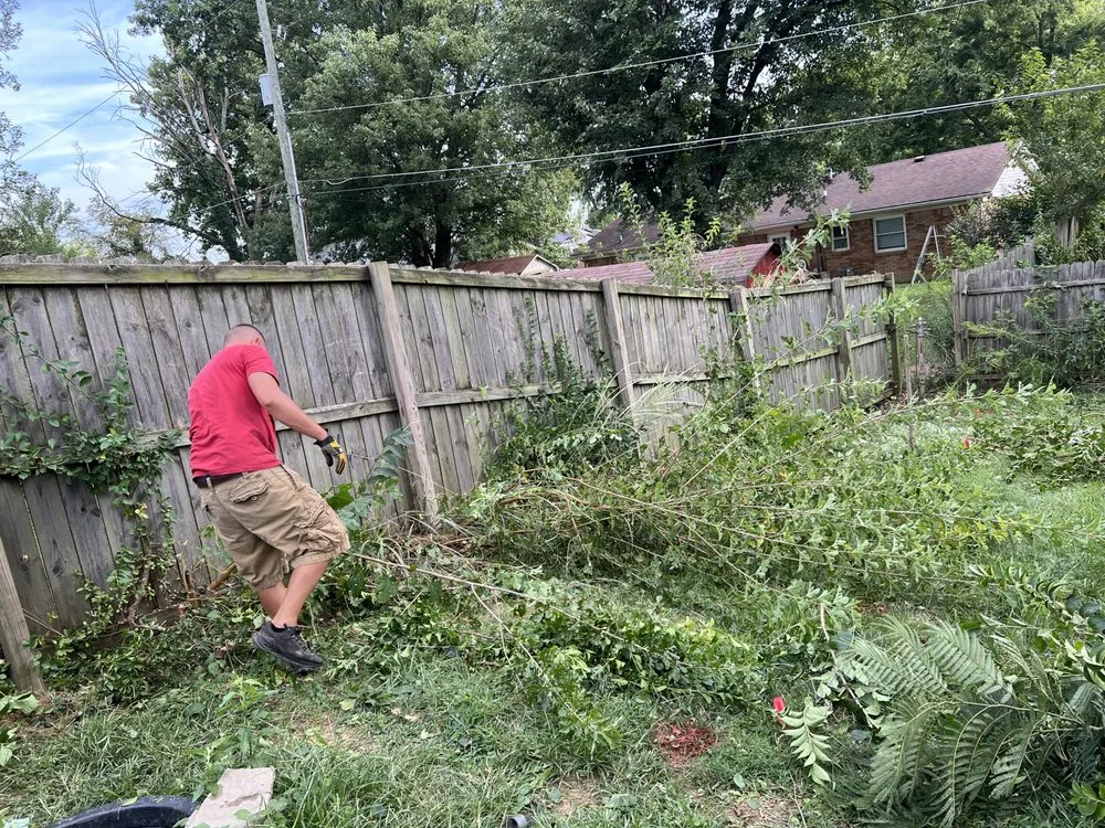 Affordable landscaping services in Elizabeth, IN by Pro 1 Property Solutions