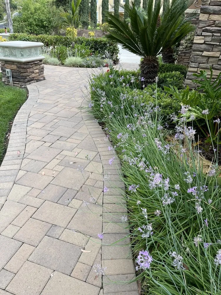 Reliable lawn care service with custom design in Moreno Valley, CA by Pro-Advance Landscape & Construction