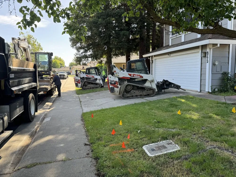 Reliable landscaping services for year-round maintenance in West Sacramento, CA by Pro Alta Quality Landscape