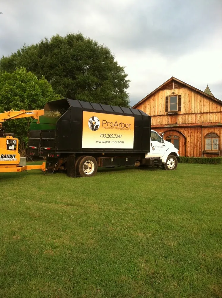 Affordable garden landscaping for outdoor upgrades in Manassas, VA by Pro Arbor Tree Care Professionals