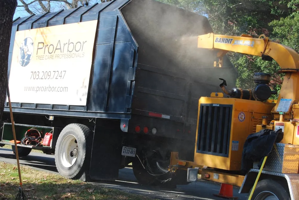 Local lawn mowing service for beautiful yards in Manassas, VA by Pro Arbor Tree Care Professionals