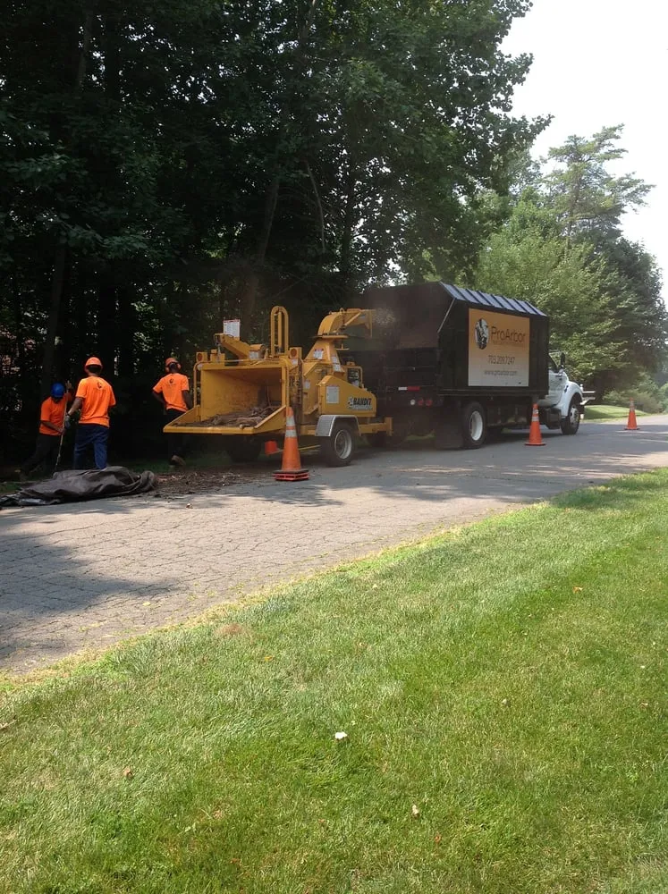 Trusted yard cleanup service with custom design across Manassas, VA - Pro Arbor Tree Care Professionals