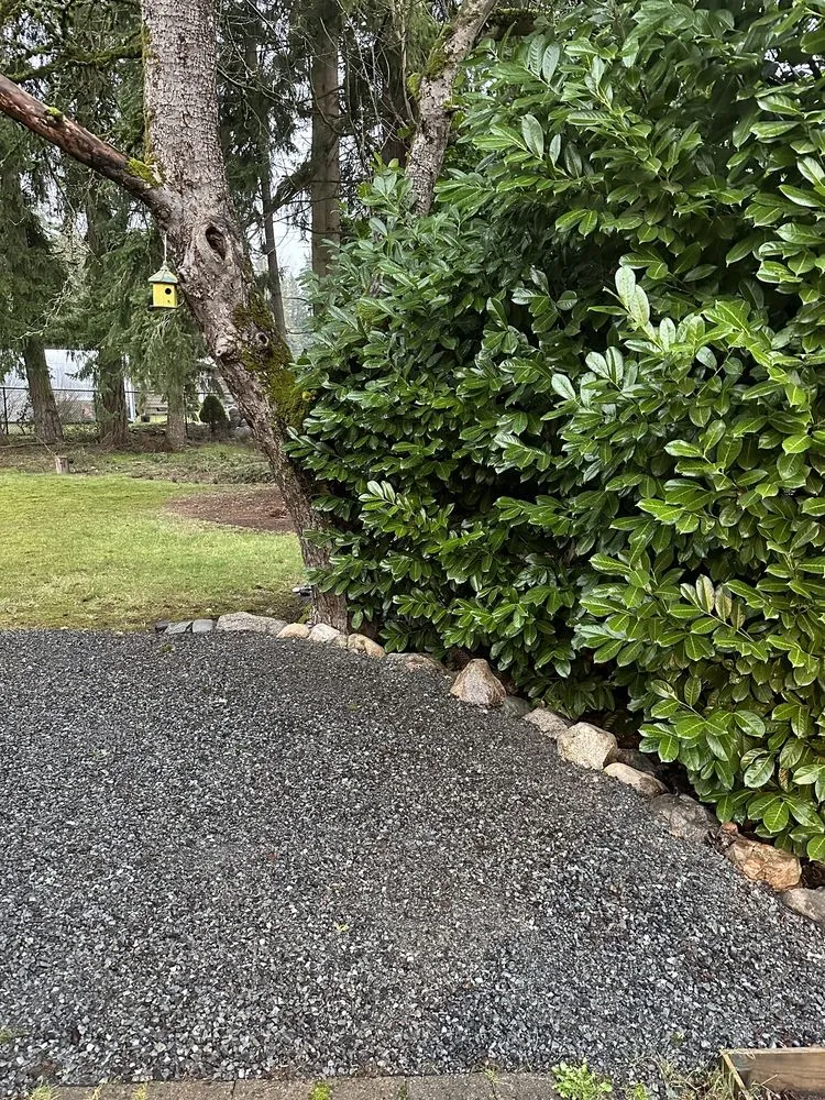 Local lawn mowing service for year-round maintenance across Tulalip, WA - Pro Brothers Construction