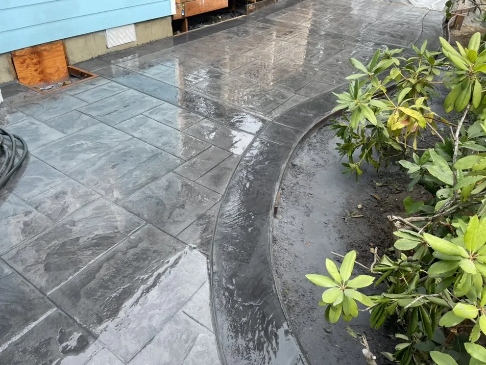 Trusted yard cleanup service experts serving Tulalip, WA - Pro Brothers Construction