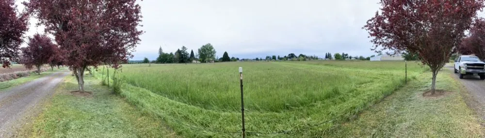 Local yard cleanup service in Salem, OR - Pro Care General Contracting