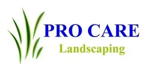 Reliable yard cleanup service for year-round maintenance across Fenton, MO - Pro Care Landsaping
