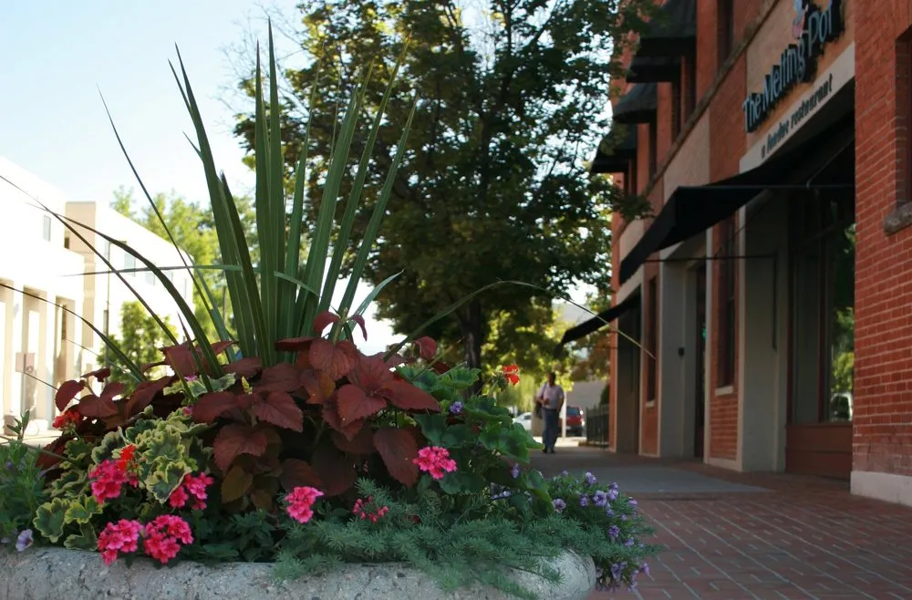 Professional lawn care service in Garden City, ID - Pro Care Landscape Services