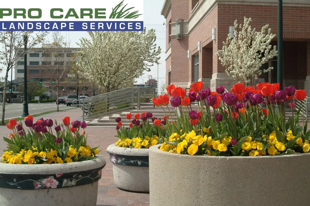 Local yard maintenance experts serving Garden City, ID - Pro Care Landscape Services