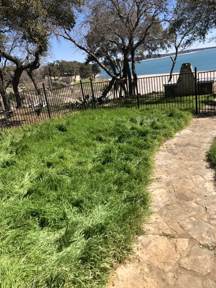 Expert landscaping services experts serving Canyon Lake, TX - Pro Care Landscaping