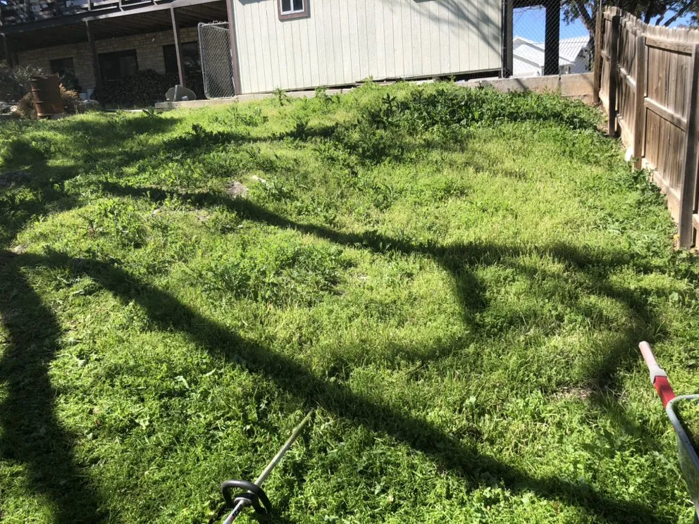 Custom landscape design for beautiful yards in Canyon Lake, TX by Pro Care Landscaping