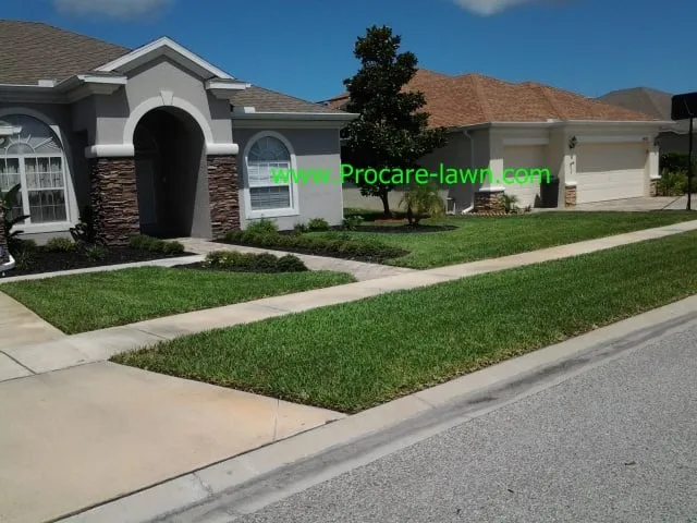 Reliable residential landscaping for beautiful yards across Hudson, FL - Pro-Care Property Maintenance