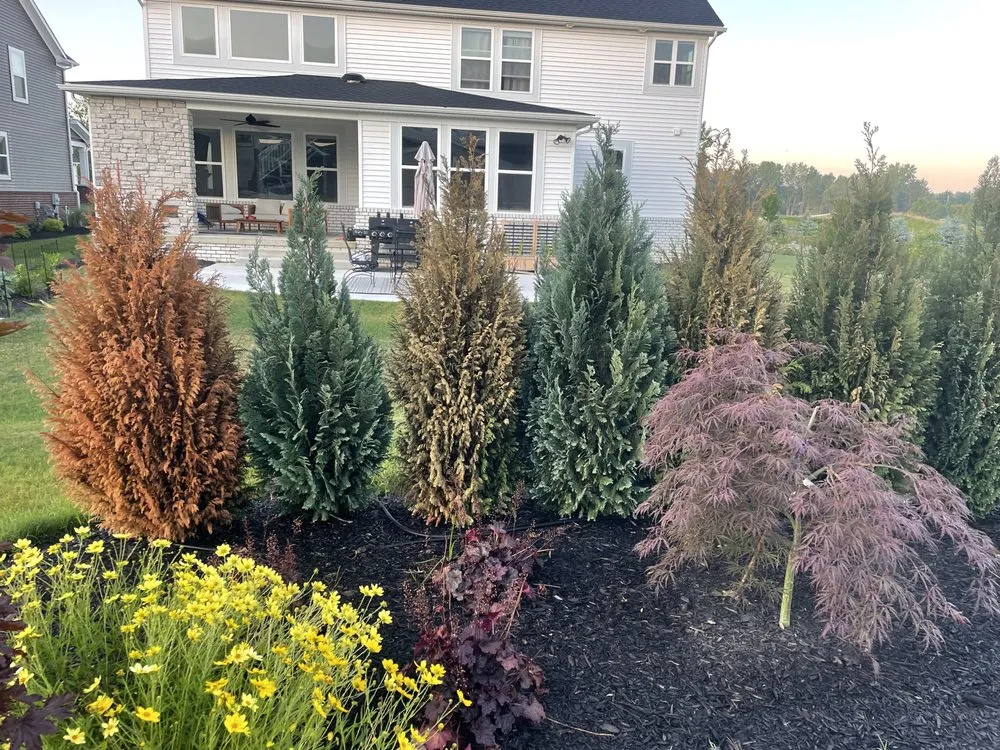 Professional yard cleanup service experts serving North Ridgeville, OH - Pro Care We Care