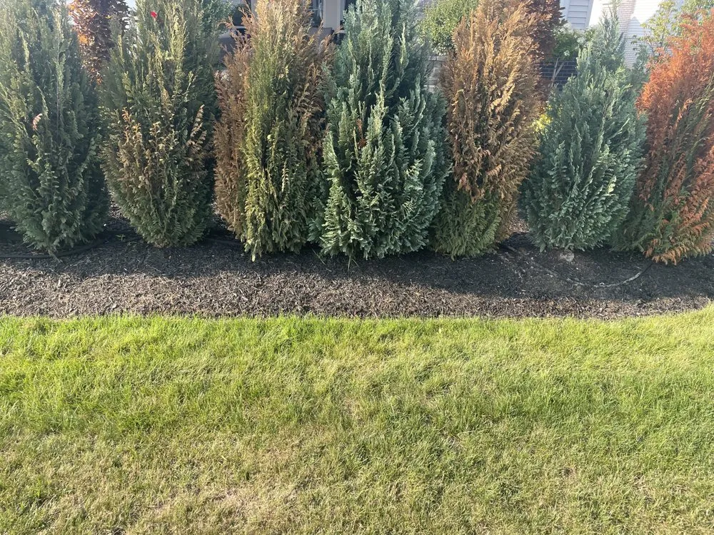 Affordable outdoor landscaping in North Ridgeville, OH by Pro Care We Care