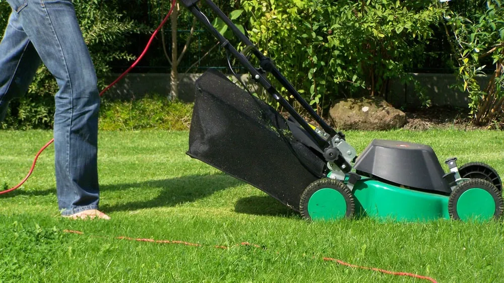 Reliable lawn mowing service in North Ridgeville, OH by Pro Care We Care