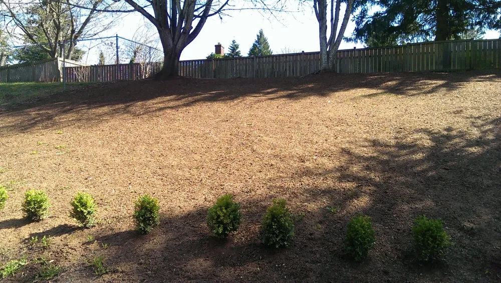 Reliable landscape design for homes across Mill Creek, WA - Pro Chavez Landscaping