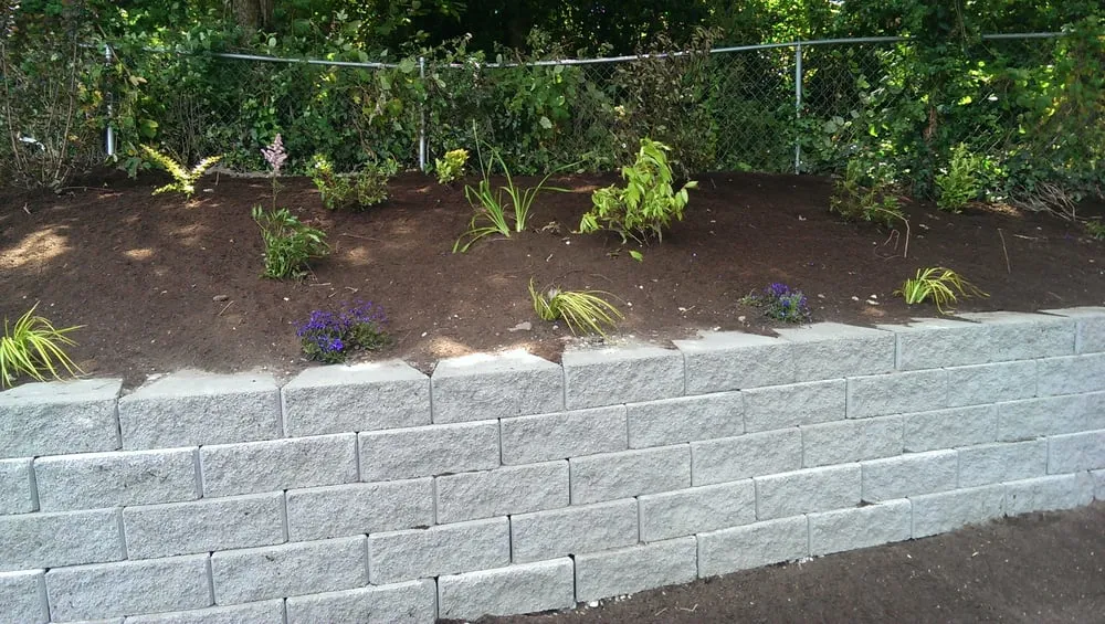 Top-rated yard maintenance in Mill Creek, WA - Pro Chavez Landscaping