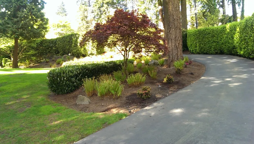 Professional yard maintenance in Mill Creek, WA by Pro Chavez Landscaping