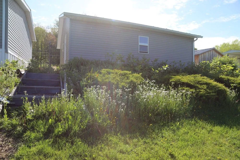 Trusted outdoor landscaping experts serving Allegany, NY - Pro-Clean and Wood Creations