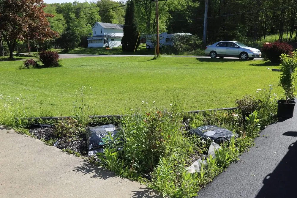 Top-rated lawn care service experts serving Allegany, NY - Pro-Clean and Wood Creations