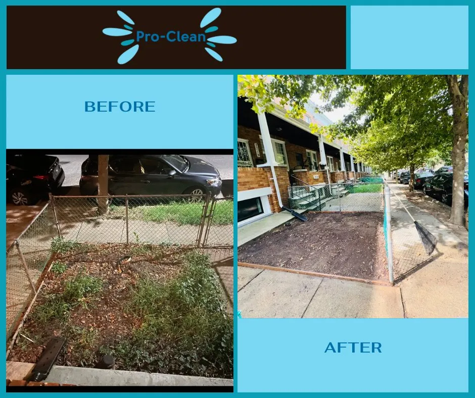 Professional landscape design in Hyattsville, MD - Pro Clean