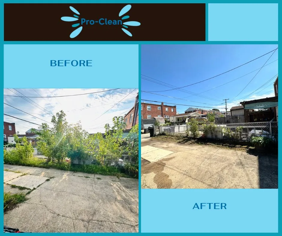 Custom landscape design in Hyattsville, MD - Pro Clean