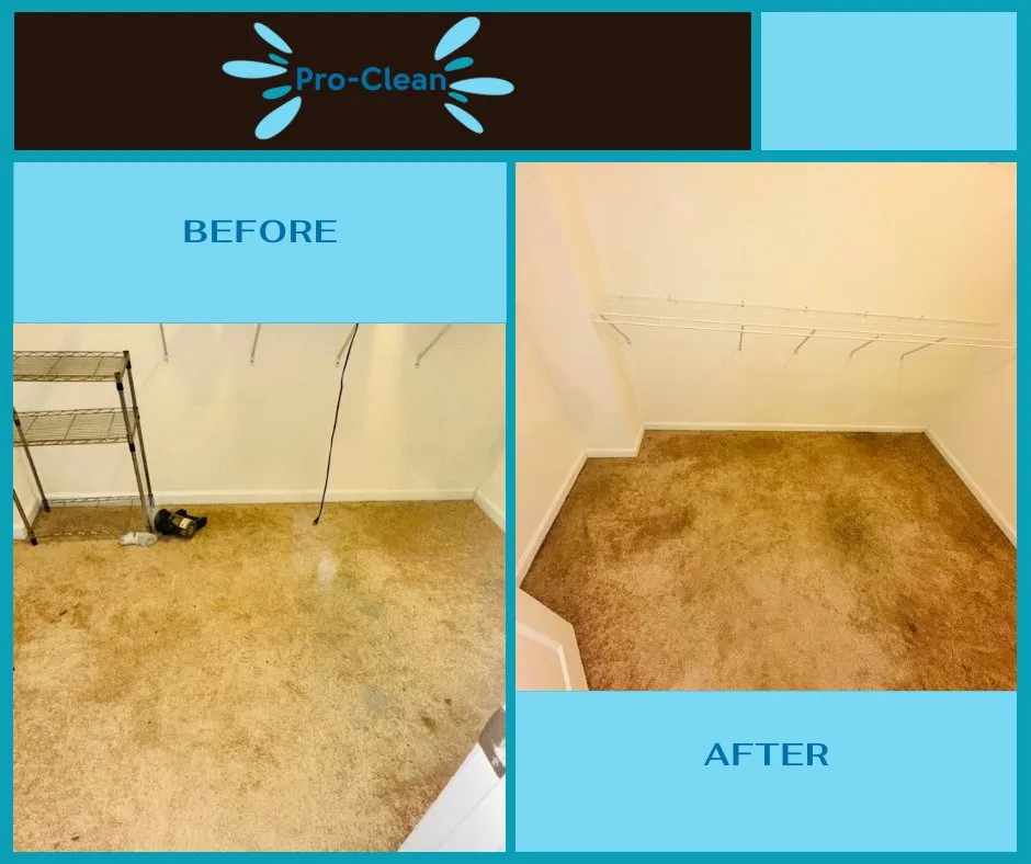 Affordable lawn care service experts serving Hyattsville, MD - Pro Clean