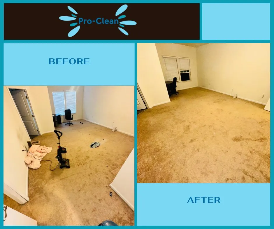 Top-rated landscape design experts serving Hyattsville, MD - Pro Clean