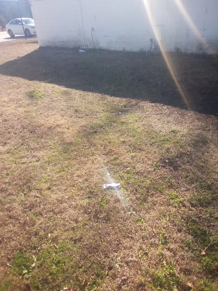 Top-rated landscape design in Thomson, GA - Pro Cleaning