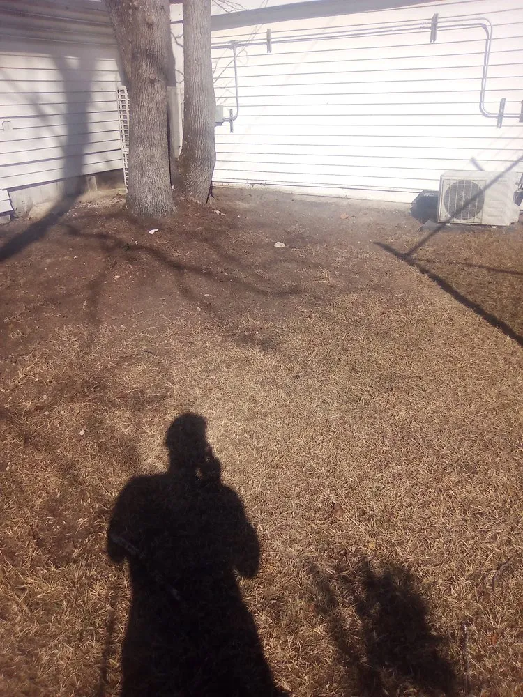 Local residential landscaping in Thomson, GA by Pro Cleaning