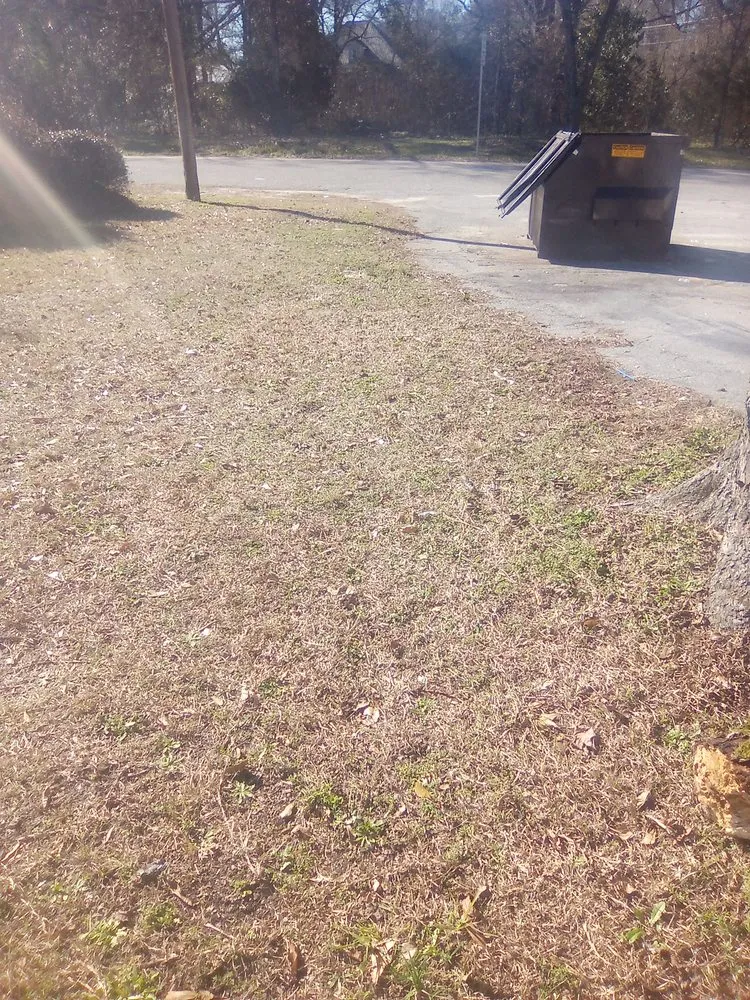 Local yard cleanup service in Thomson, GA by Pro Cleaning