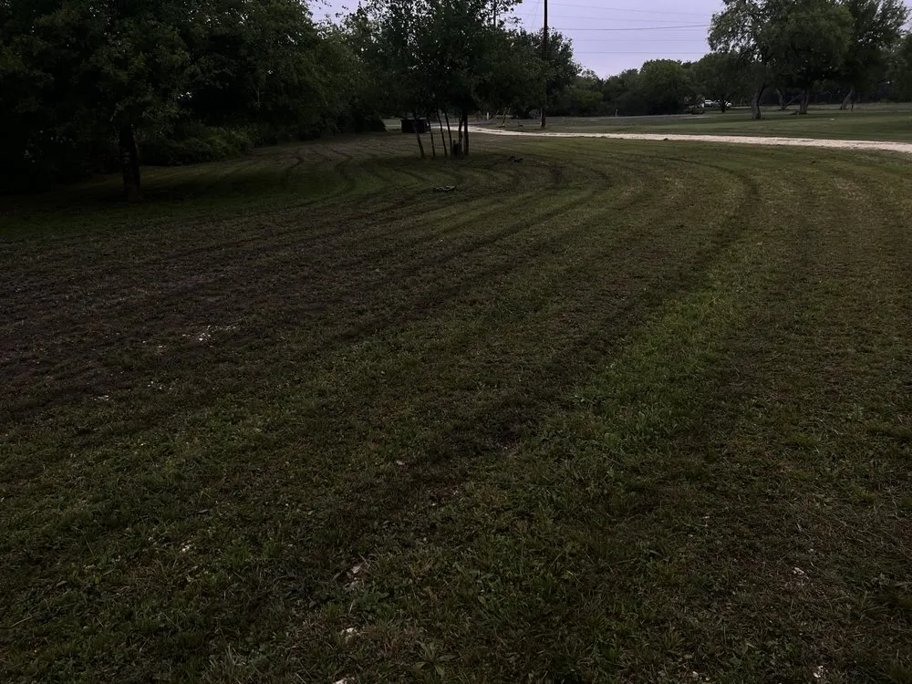 Local landscaping services in San Antonio, TX by Pro-Clippings Care Services