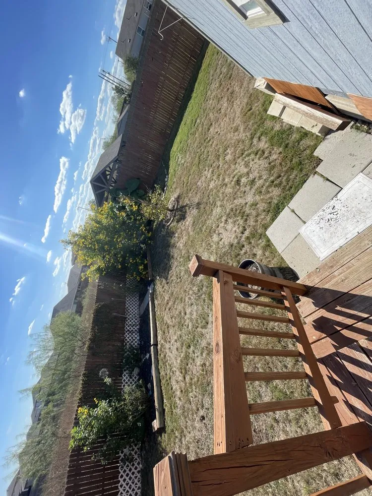 Local landscaping services in San Antonio, TX by Pro-Clippings Care Services