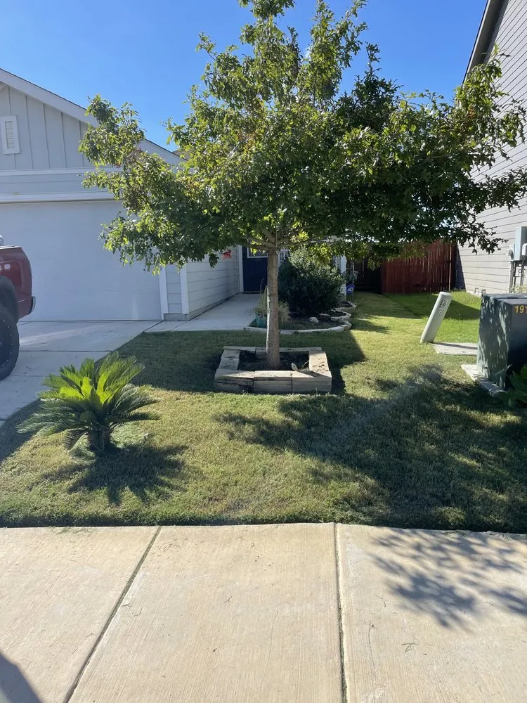 Reliable lawn care service experts serving San Antonio, TX - Pro-Clippings Care Services