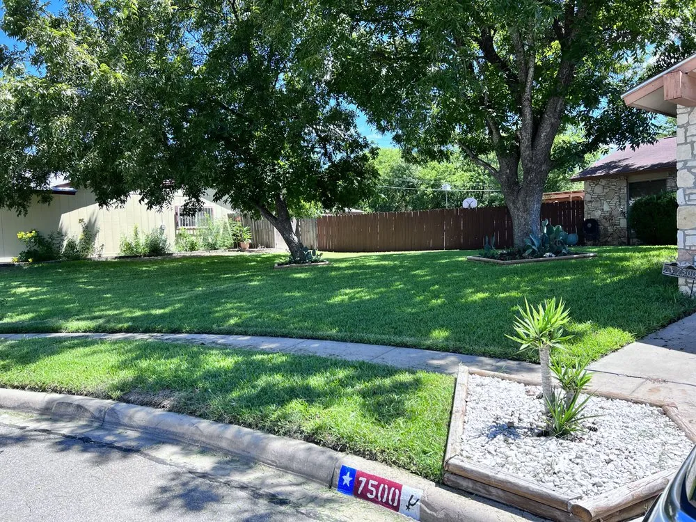 Affordable landscaping services in San Antonio, TX - Pro-Clippings Care Services