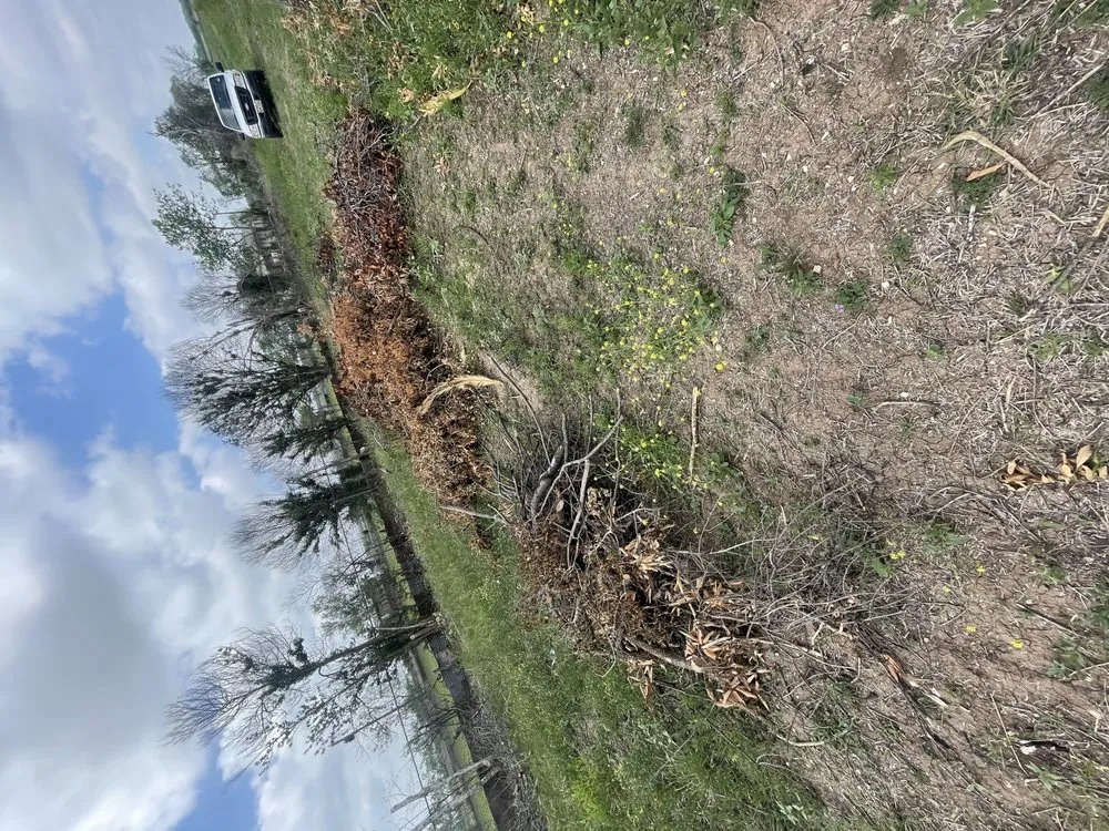 Top-rated residential landscaping experts serving San Antonio, TX - Pro-Clippings Care Services