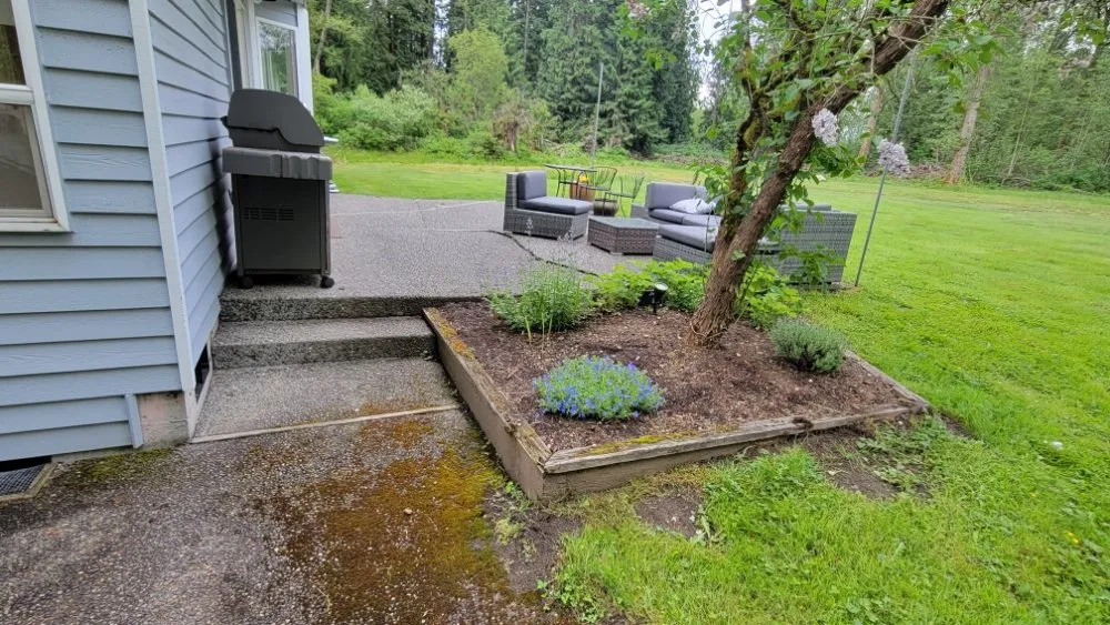 Affordable lawn care service in Everett, WA - Pro Concrete & Landscaping