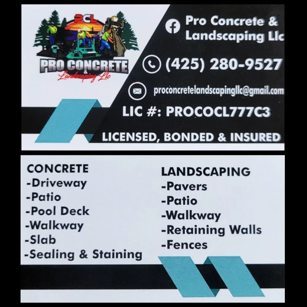 Professional yard cleanup service in Everett, WA by Pro Concrete & Landscaping