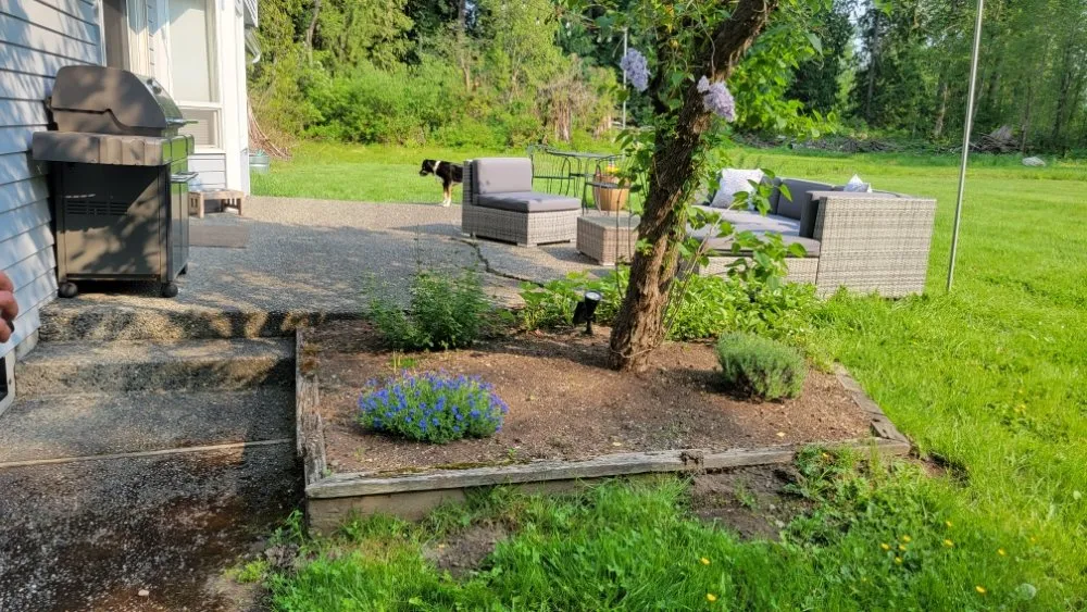 Trusted residential landscaping for residential properties across Everett, WA - Pro Concrete & Landscaping