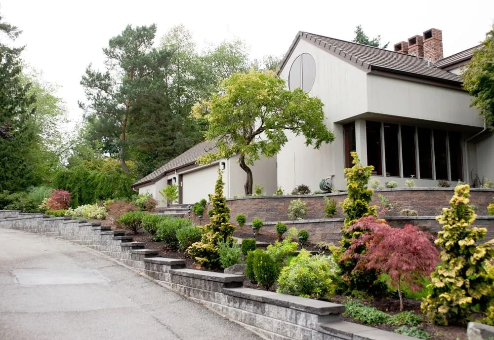 Reliable yard cleanup service in Kirkland, WA by Pro Curb Appeal