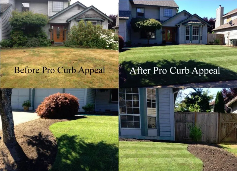 Trusted landscaping services in Kirkland, WA by Pro Curb Appeal