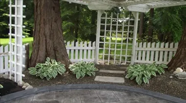 Custom outdoor landscaping for homes across Kirkland, WA - Pro Curb Appeal