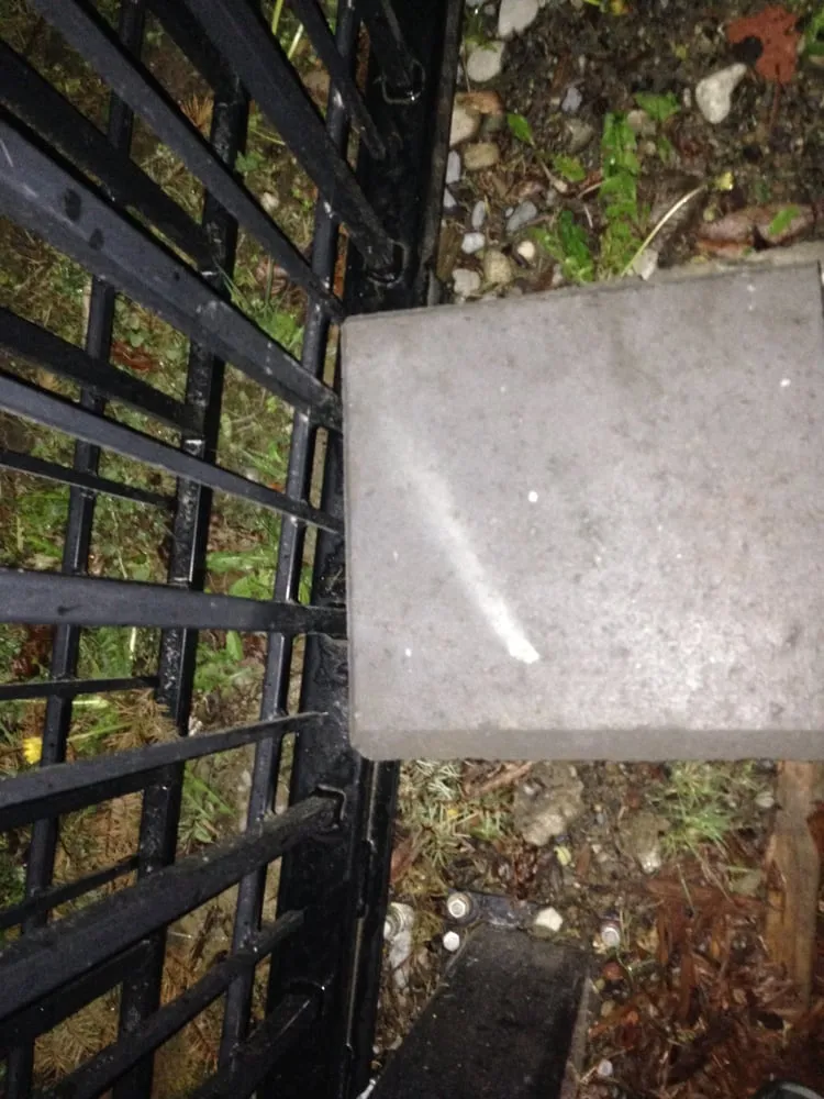 Local yard cleanup service with custom design across Kirkland, WA - Pro Curb Appeal