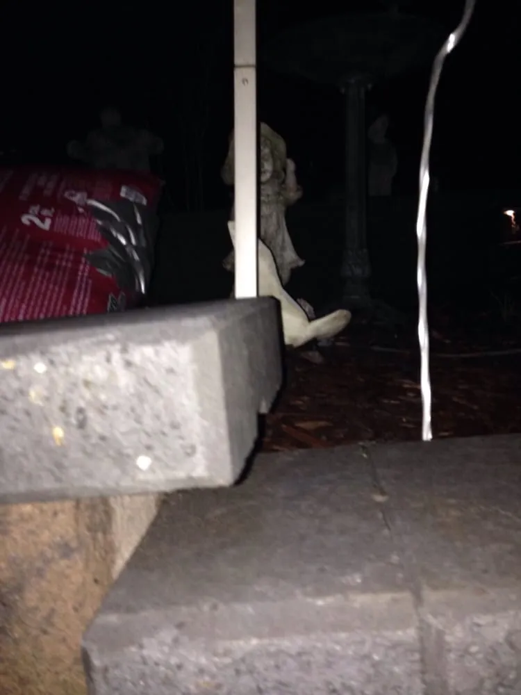 Top-rated landscape design in Kirkland, WA - Pro Curb Appeal