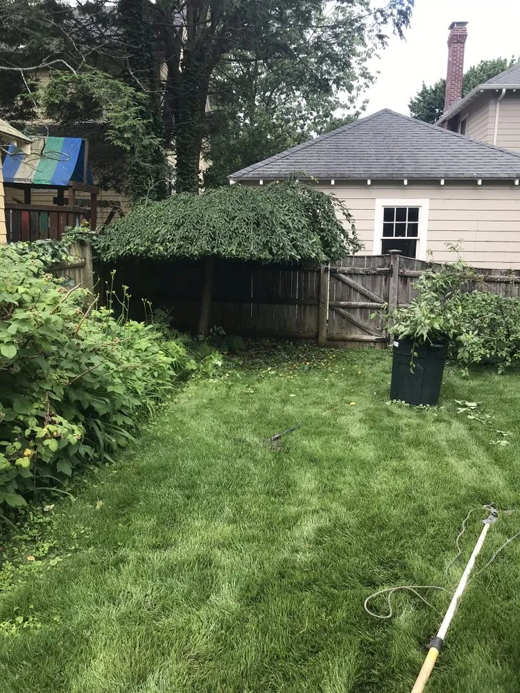 Trusted garden landscaping in Watertown, MA - Pro Cut Landscape & Design