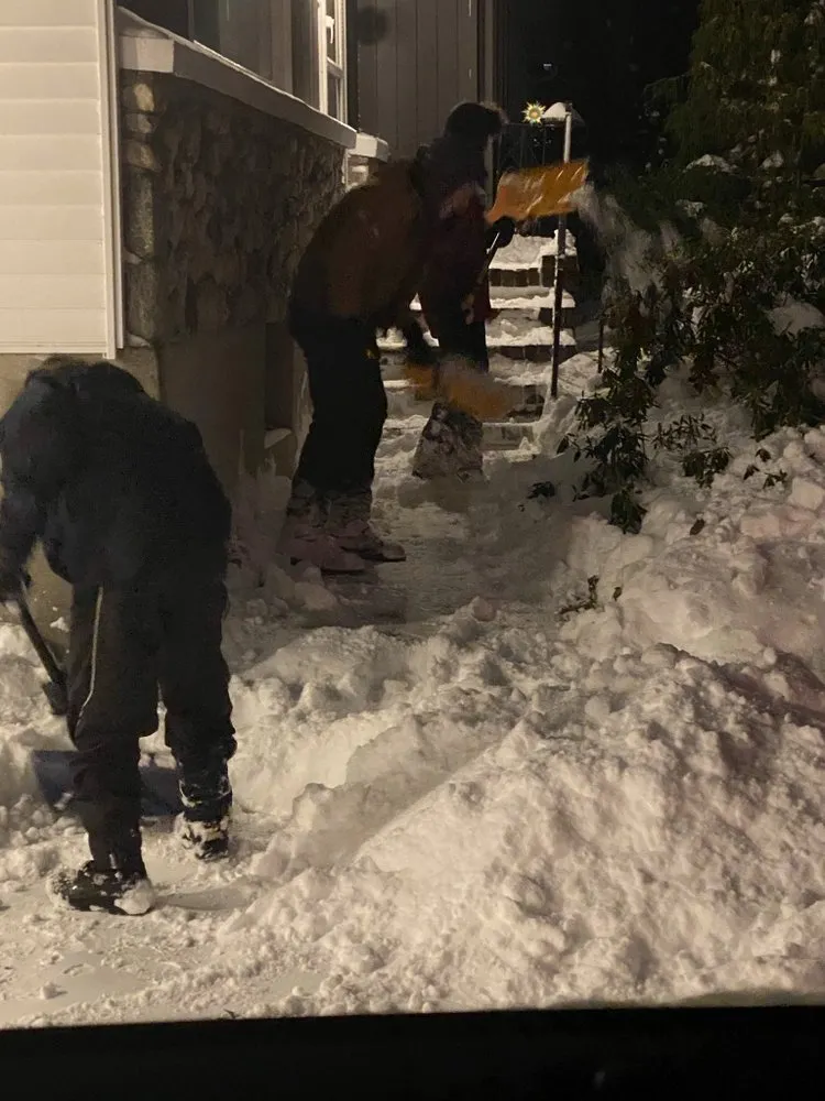 Custom yard maintenance in Watertown, MA by Pro Cut Landscape & Design