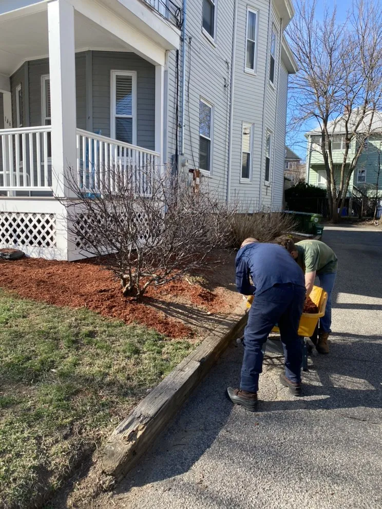 Reliable lawn mowing service experts serving Watertown, MA - Pro Cut Landscape & Design