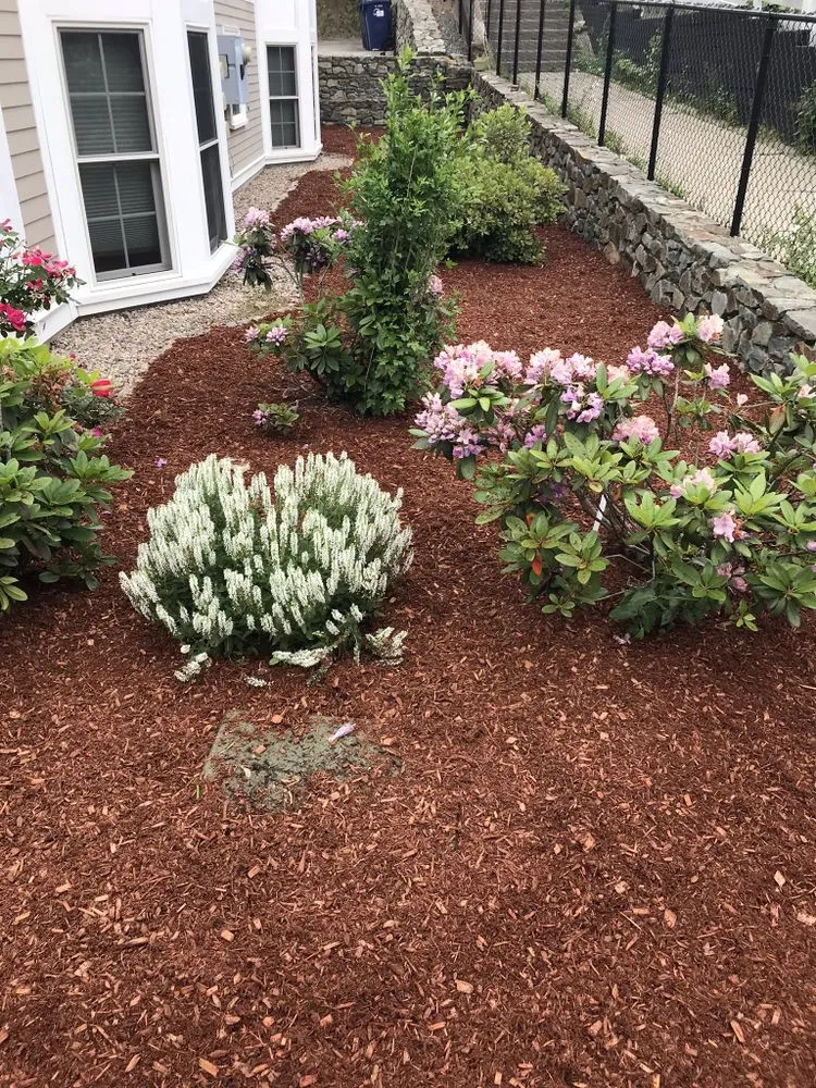 Top-rated landscape installation in Watertown, MA - Pro Cut Landscape & Design