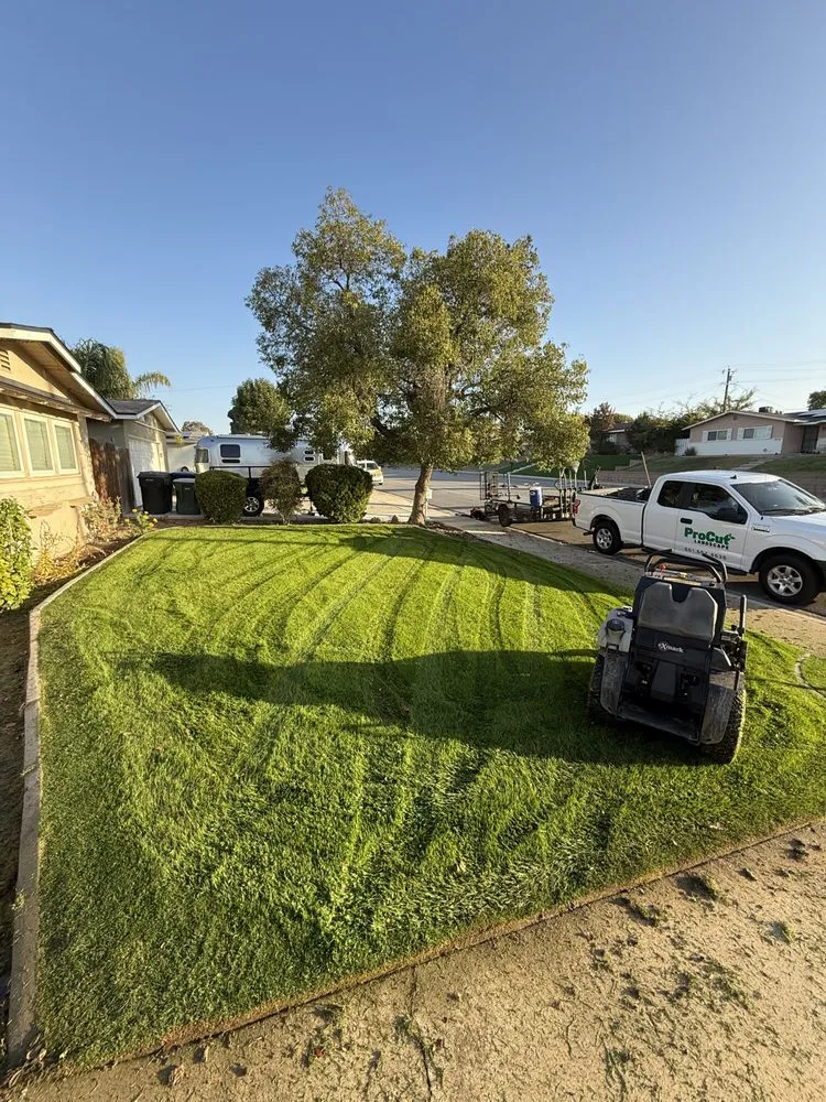 Affordable landscaping services for outdoor upgrades across Bakersfield, CA - Pro Cut Landscape